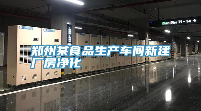 鄭州某食品生產(chǎn)車(chē)間新建廠房?jī)艋?/></p>
                            <p style=