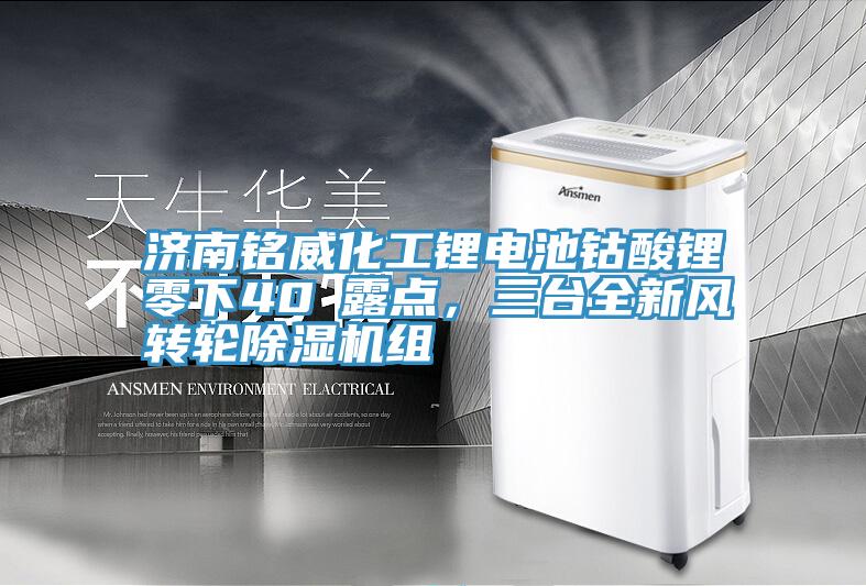 濟(jì)南銘威化工鋰電池鈷酸鋰零下40℃露點(diǎn)，三臺全新風(fēng)轉(zhuǎn)輪除濕機(jī)組