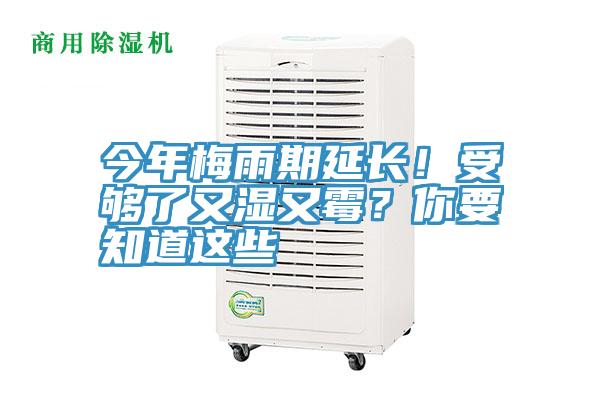 今年梅雨期延長！受夠了又濕又霉？你要知道這些
