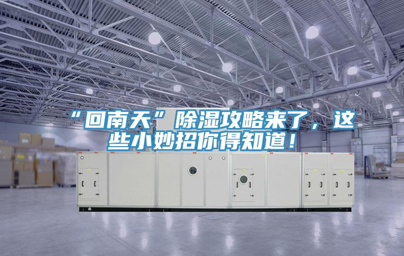 “回南天”除濕攻略來(lái)了，這些小妙招你得知道！