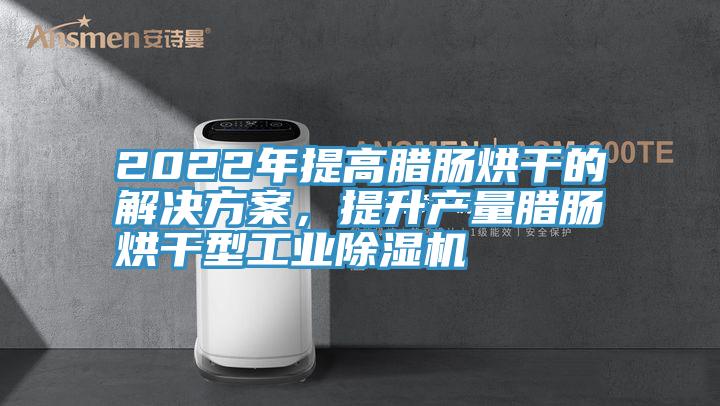 2022年提高臘腸烘干的解決方案，提升產(chǎn)量臘腸烘干型工業(yè)除濕機(jī)
