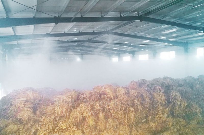 提升煙葉加工質(zhì)量，高效回潮很重要