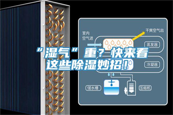 “濕氣”重？快來(lái)看這些除濕妙招！