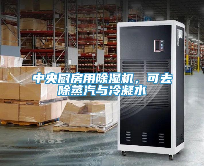中央廚房用除濕機，可去除蒸汽與冷凝水