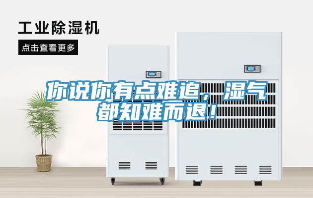 你說你有點難追，濕氣都知難而退！