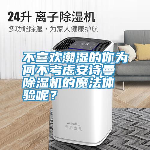 不喜歡潮濕的你為何不考慮安詩曼除濕機的魔法體驗呢？