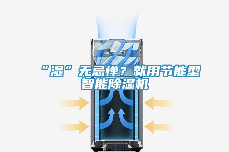 “濕”無(wú)忌憚？就用節(jié)能型智能除濕機(jī)