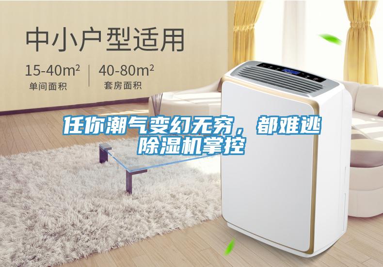 任你潮氣變幻無窮，都難逃除濕機(jī)掌控