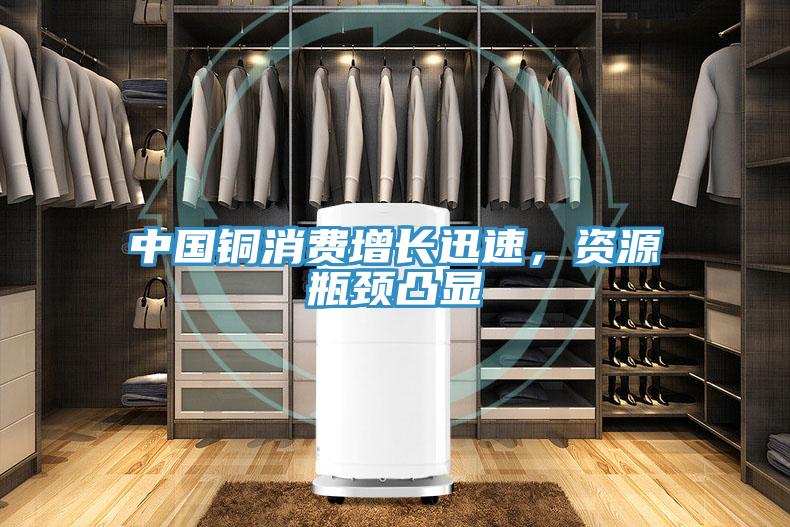 中國銅消費增長迅速，資源瓶頸凸顯