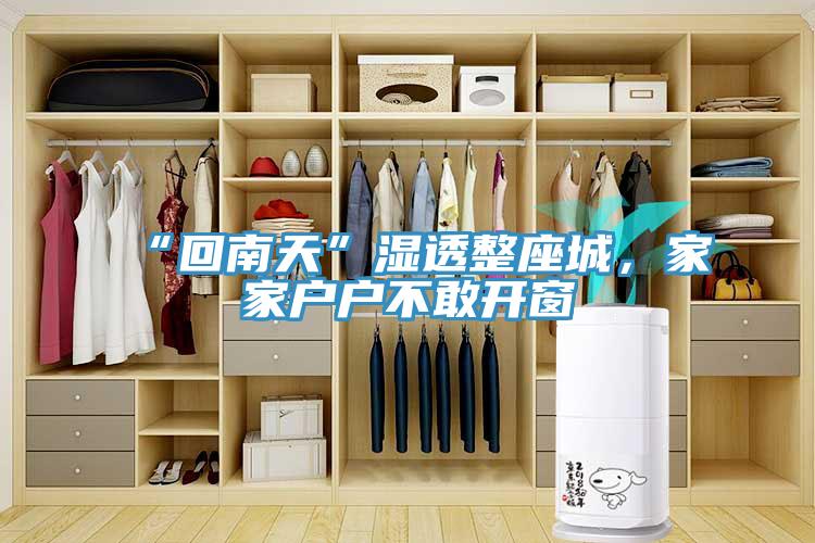 “回南天”濕透整座城，家家戶戶不敢開(kāi)窗