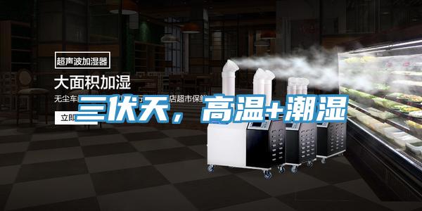 三伏天，高溫+潮濕