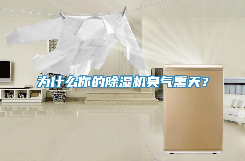 為什么你的除濕機臭氣熏天？