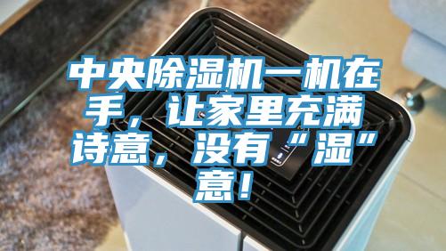 中央除濕機(jī)一機(jī)在手，讓家里充滿詩意，沒有“濕”意！