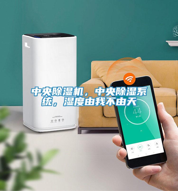 中央除濕機(jī)，中央除濕系統(tǒng)，濕度由我不由天