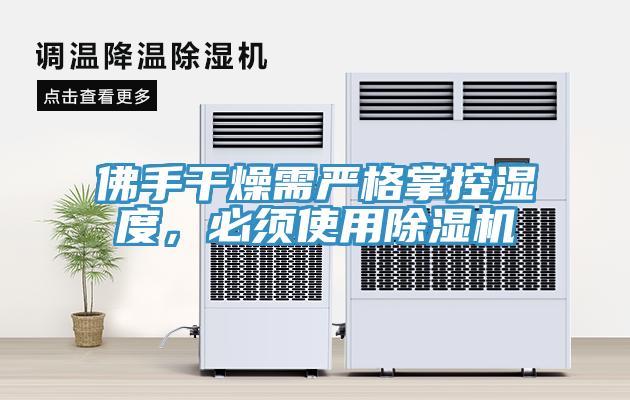 佛手干燥需嚴(yán)格掌控濕度，必須使用除濕機(jī)