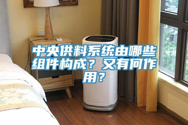 中央供料系統(tǒng)由哪些組件構(gòu)成？又有何作用？