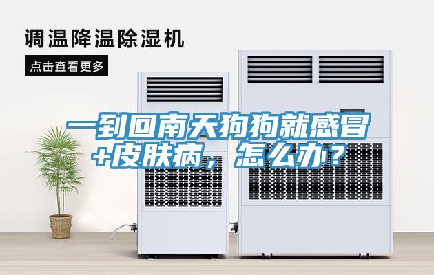 一到回南天狗狗就感冒+皮膚病，怎么辦？