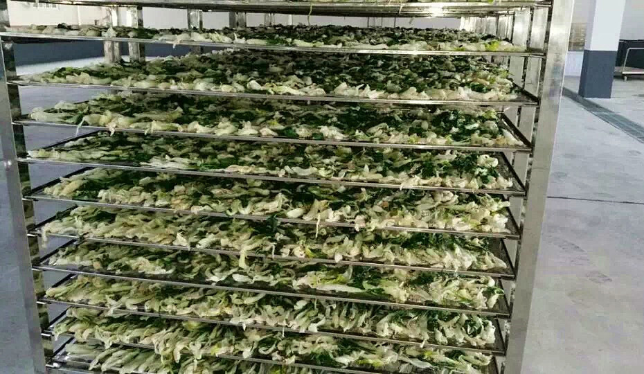 菜干需求一直都很大，蔬菜烘干機(jī)很有市場(chǎng)