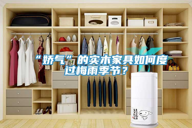 “嬌氣”的實(shí)木家具如何度過(guò)梅雨季節(jié)？