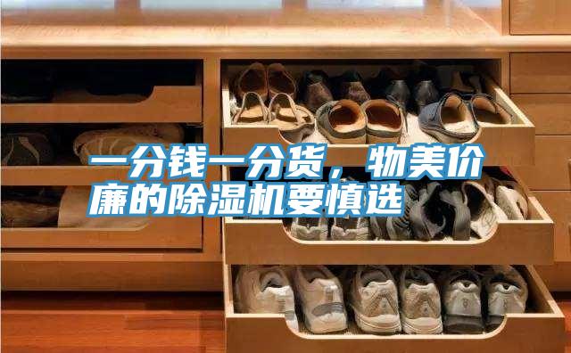 一分錢一分貨，物美價(jià)廉的除濕機(jī)要慎選