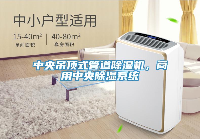 中央吊頂式管道除濕機，商用中央除濕系統(tǒng)