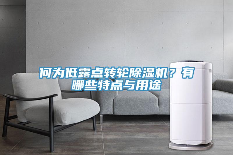 何為低露點轉輪除濕機？有哪些特點與用途