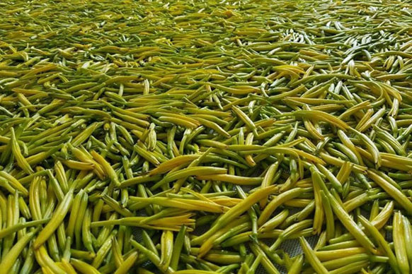 無硫金針菜烘干如何保持品相？不發(fā)黑？_除濕機廠家