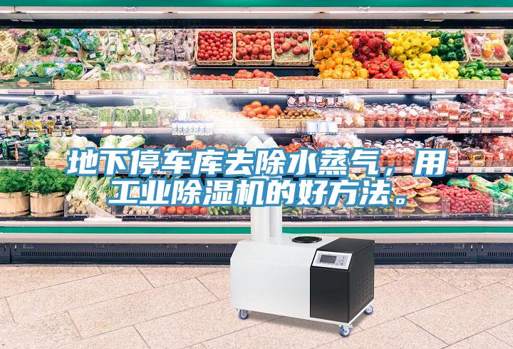 地下停車庫去除水蒸氣，用工業(yè)除濕機的好方法。