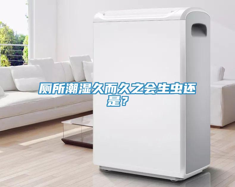 廁所潮濕久而久之會生蟲還是？