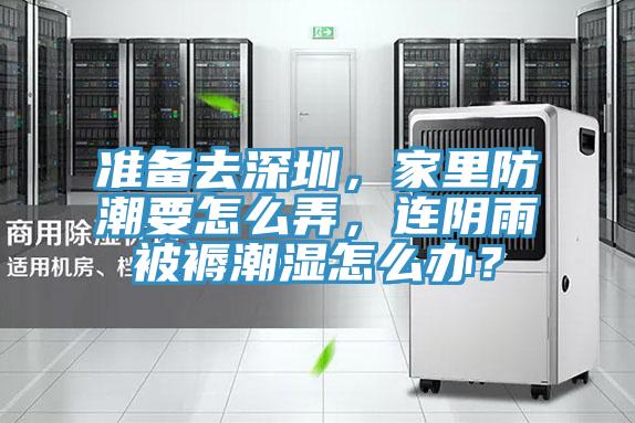 準備去深圳，家里防潮要怎么弄，連陰雨被褥潮濕怎么辦？