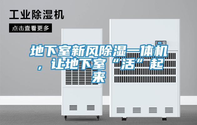 地下室新風(fēng)除濕一體機(jī)，讓地下室“活”起來