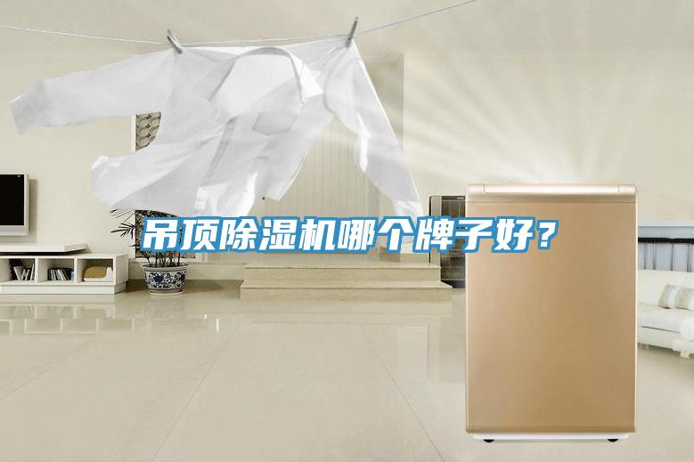 吊頂除濕機哪個牌子好？