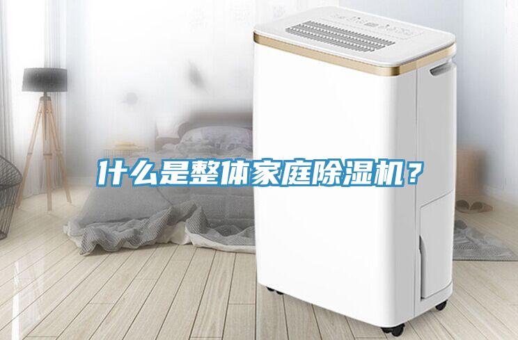 什么是整體家庭除濕機(jī)？