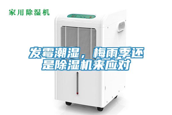 發(fā)霉潮濕，梅雨季還是除濕機(jī)來應(yīng)對