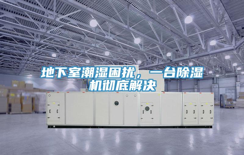 地下室潮濕困擾，一臺(tái)除濕機(jī)徹底解決