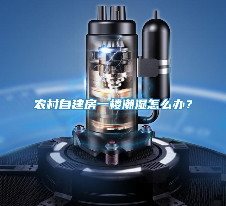 農村自建房一樓潮濕怎么辦？