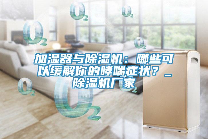 加濕器與除濕機：哪些可以緩解你的哮喘癥狀？_除濕機廠家