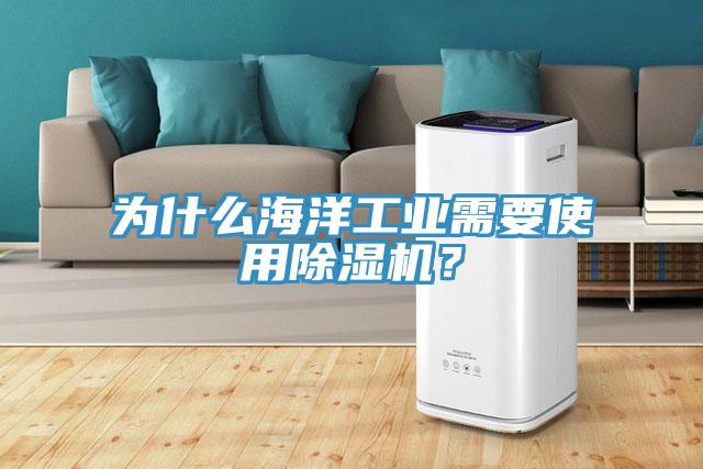 為什么海洋工業(yè)需要使用除濕機？