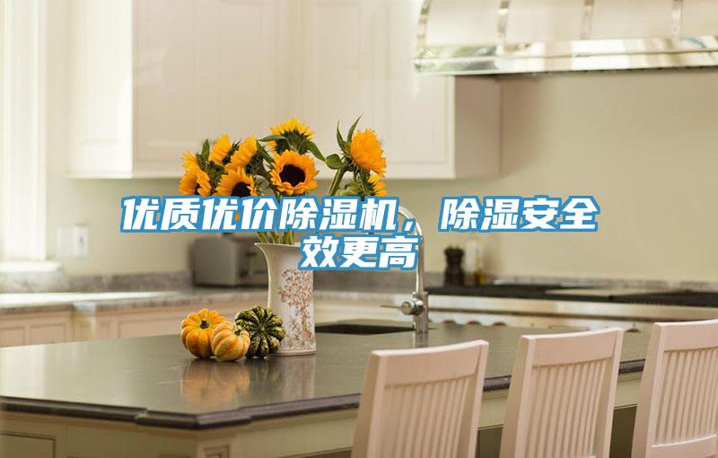 優(yōu)質(zhì)優(yōu)價除濕機(jī)，除濕安全效更高