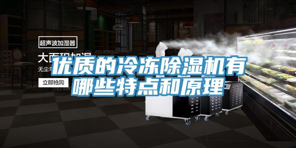 優(yōu)質(zhì)的冷凍除濕機(jī)有哪些特點和原理