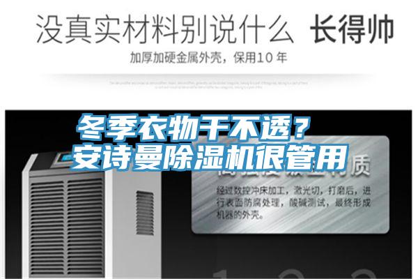 冬季衣物干不透？ 安詩曼除濕機很管用