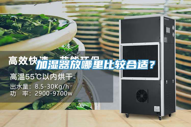 加濕器放哪里比較合適？