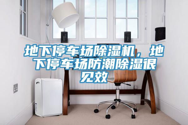 地下停車場除濕機，地下停車場防潮除濕很見效