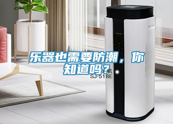 樂器也需要防潮，你知道嗎？