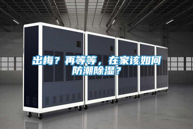 出梅？再等等，在家該如何防潮除濕？