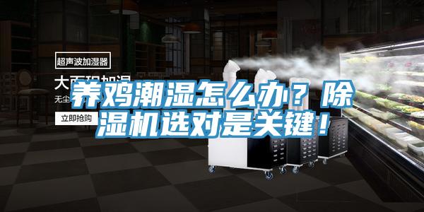 養(yǎng)雞潮濕怎么辦？除濕機選對是關(guān)鍵！