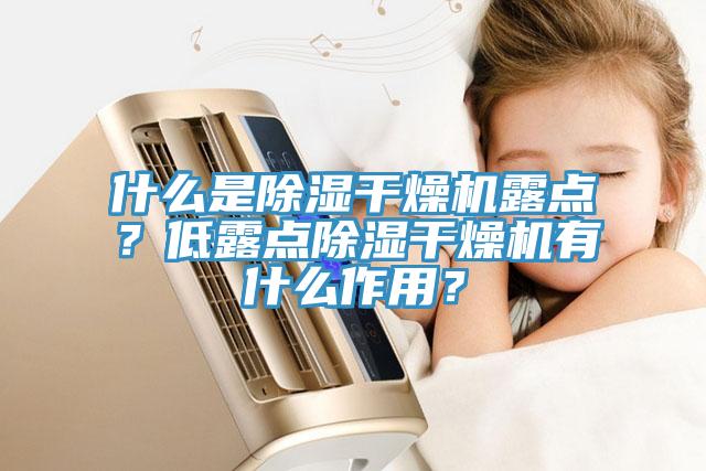 什么是除濕干燥機(jī)露點(diǎn)？低露點(diǎn)除濕干燥機(jī)有什么作用？