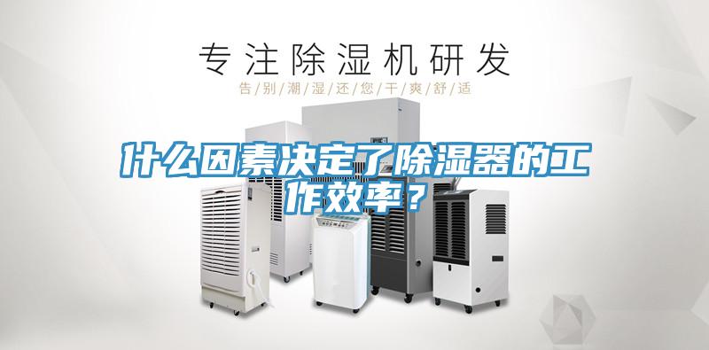 什么因素決定了除濕器的工作效率？