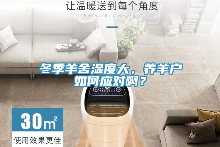 冬季羊舍濕度大，養(yǎng)羊戶如何應(yīng)對(duì)啊？