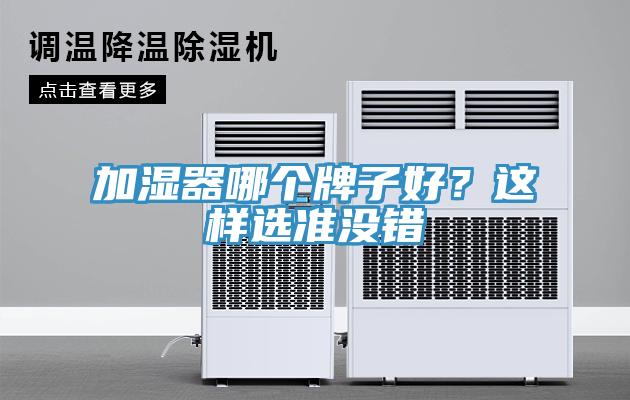 加濕器哪個牌子好？這樣選準(zhǔn)沒錯